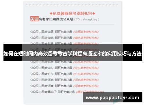 如何在短时间内高效备考考古学科提高通过率的实用技巧与方法