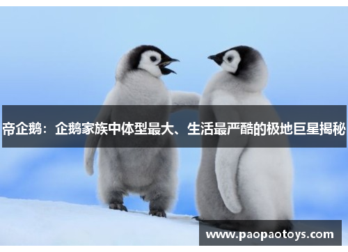 帝企鹅:企鹅家族中体型最大、生活最严酷的极地巨星揭秘
